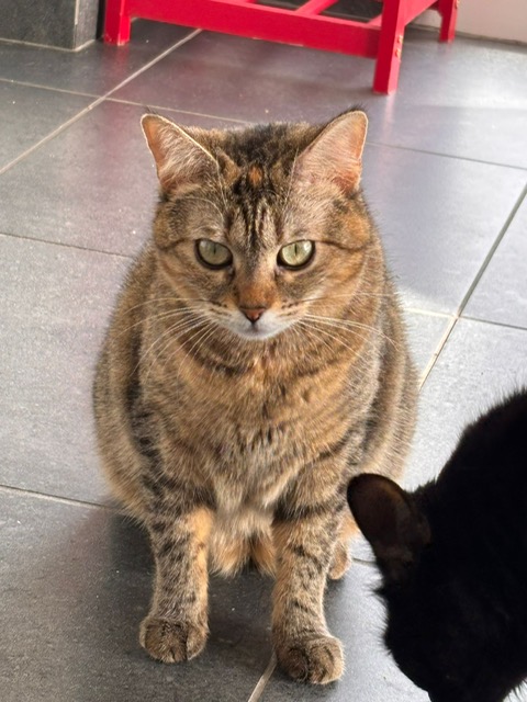 PHOTO-2026-03-13-15-33-44